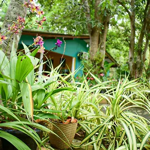 Palitha , Sigiriya Sri Lanca